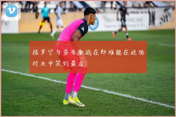 格罗宁与芬洛激战在即谁能在这场对决中笑到最后