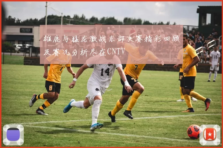 雄鹿与猛龙激战东部决赛精彩回顾及赛况分析尽在CNTV
